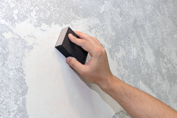 Best Emergency Mold Remediation  in Nashville, AR