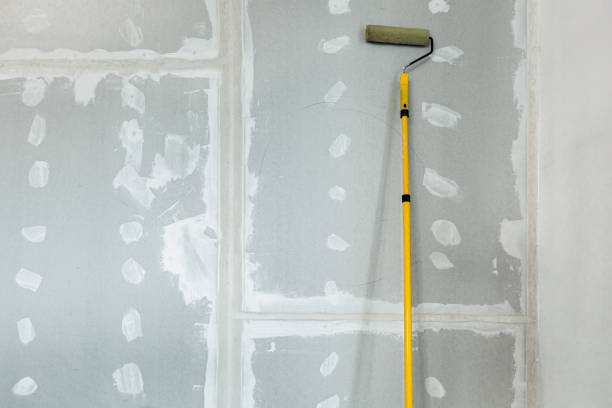 Best Crawl Space Mold Remediation  in Nashville, AR