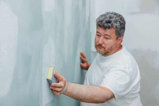 Best Mold Damage Restoration  in Nashville, AR