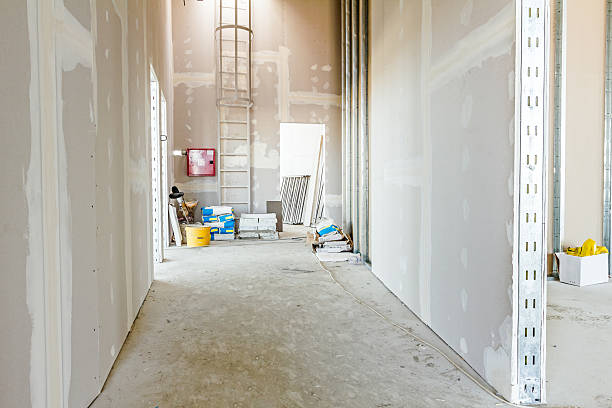 Best Mold Documentation for Insurance Claims  in Nashville, AR